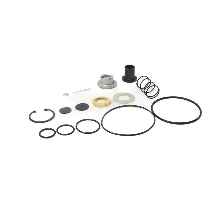 Repuesto para valvula r12y r14 con tapa