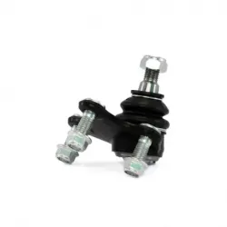 Rotula Inf Izq A1 1118 Ibiza 0918