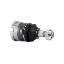 Rotula Inf B100 7078 B150 7904 B20