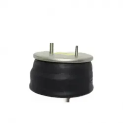 Bolsa de suspensión Hendrickson