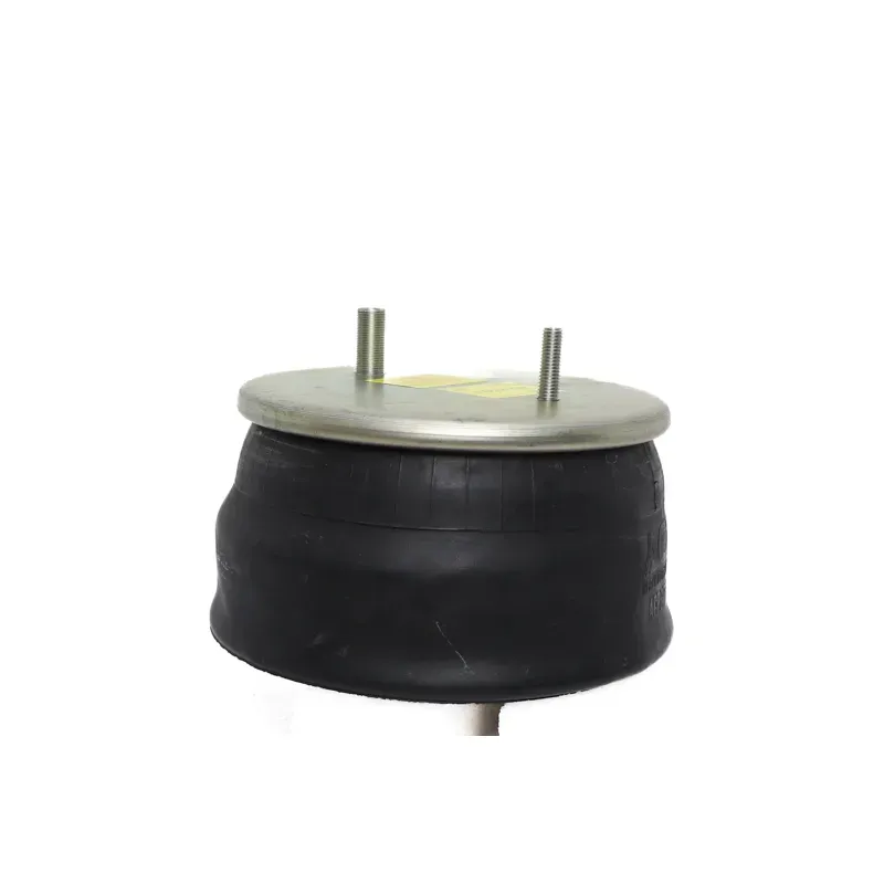 Bolsa de suspensión Hendrickson