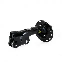 Amort DD Toyota Camry se 1217