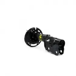 Amort Del Der CX9 1619