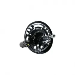 Amort DI Honda civic CTope 1619