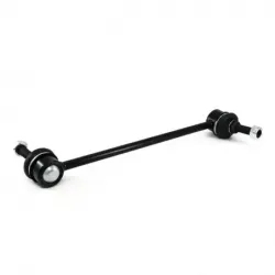 Tornillo Estab Del March1117Tiida 0618