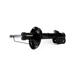 Amort DI Honda Odyssey CTope 1317