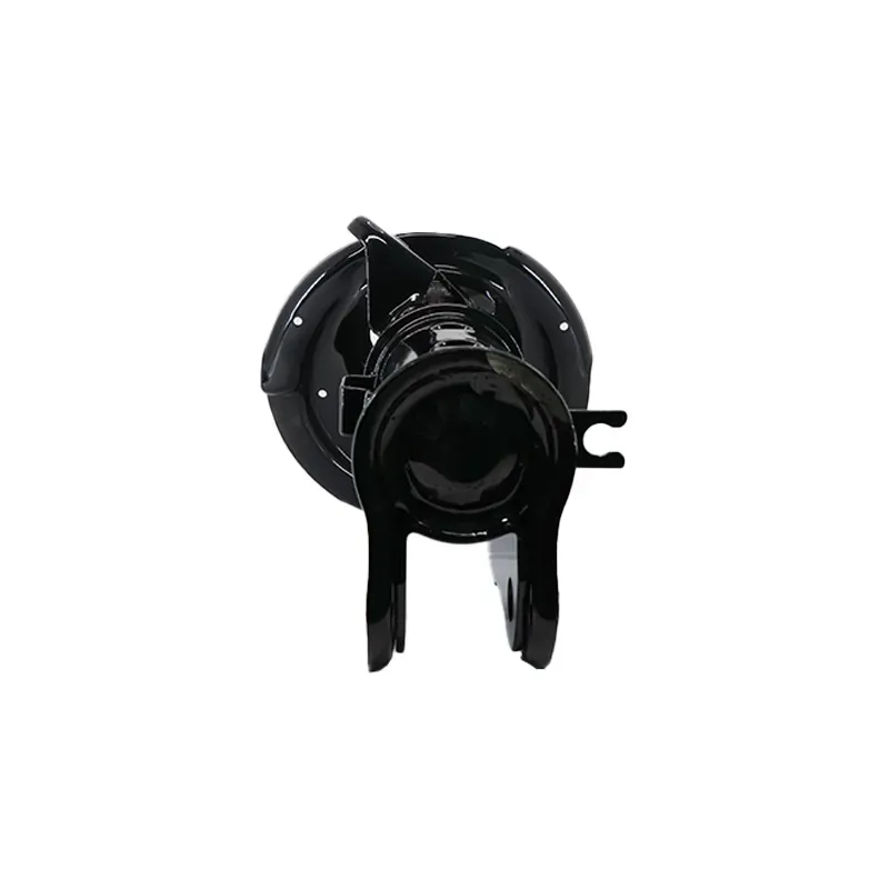 Amort Del Izq H100 0613