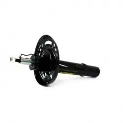 Amort Del Der Civic 1619