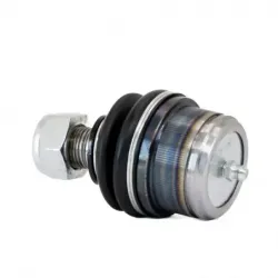 Rotula Inf Blazer 7091 C10 7091