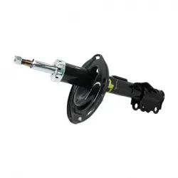 Amort Del Der Sienna 0610