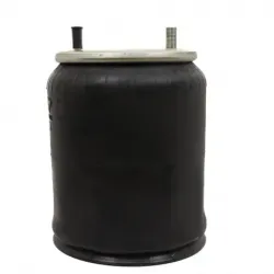 Bolsa de aire hendrickson  1r12395