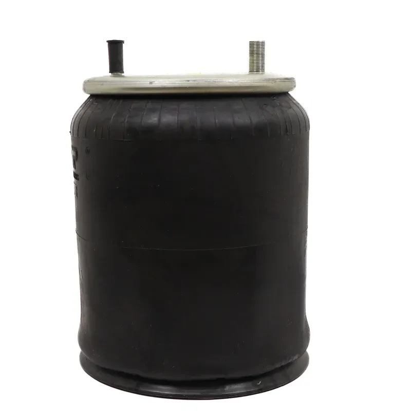 Bolsa de aire hendrickson  1r12395