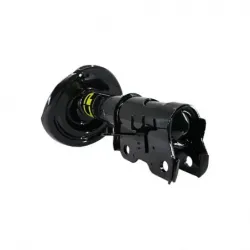 Amort Del Der Safrane 1215