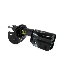 Amortiguador del para...