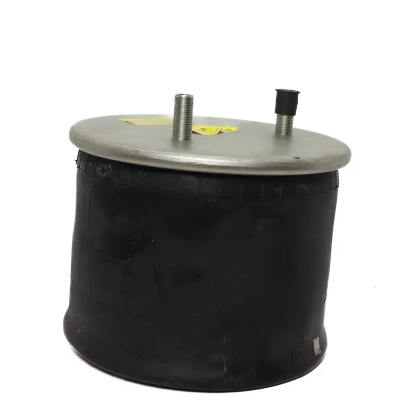 Bolsa de aire para suspension