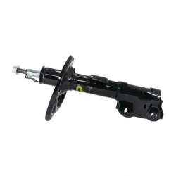 Amort DI Toyota Camry se 1217