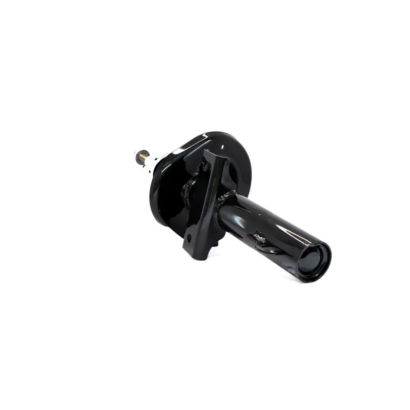 Amort Del Freestar 0406 Monterey 0407