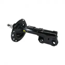 Amort DI Toyota Camry se 1217