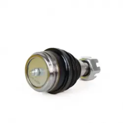 Rotula Inf Bronco II8990 Explorer 9194