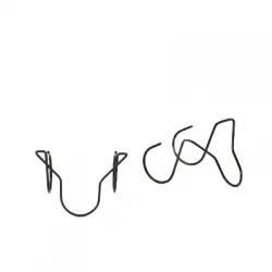 Seguro de araña para rodillo std  por