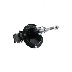 Amort D Ford Mustang 0510