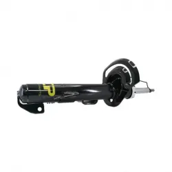 Amort Del Der Vision 1518