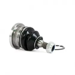 Rotula Sup Accord 9812 CRV 9701