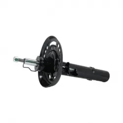 Amort DI Honda civic CTope 1619