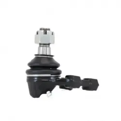 Rotula Inf PickUp 8397 Pathfinder8796