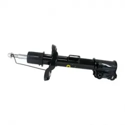 Amort DD seltos 2021