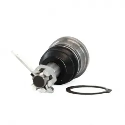 Rotula Inf 0106 Altima 9301