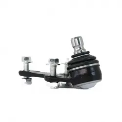 Rotula Inf Focus 9906