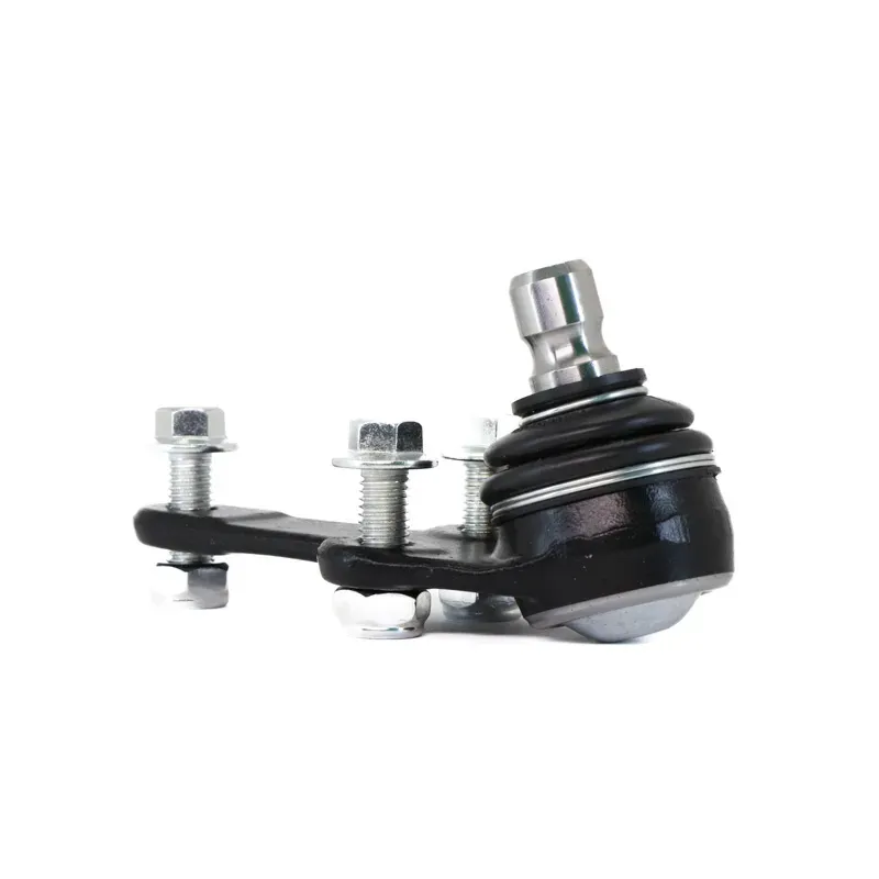 Rotula Inf Focus 9906