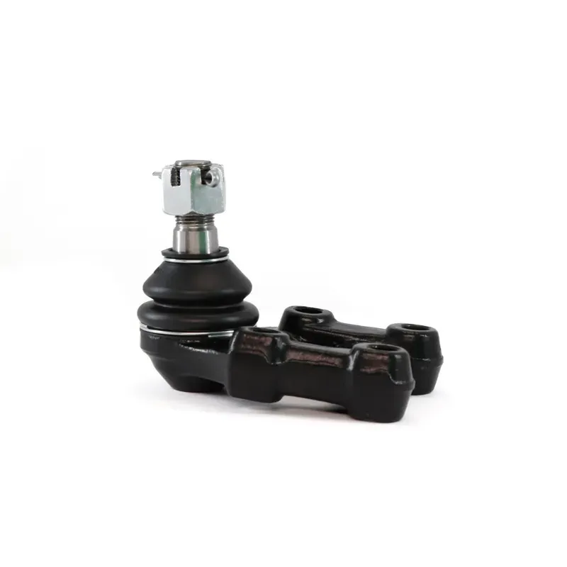 Rotula Inf Urvan 0014