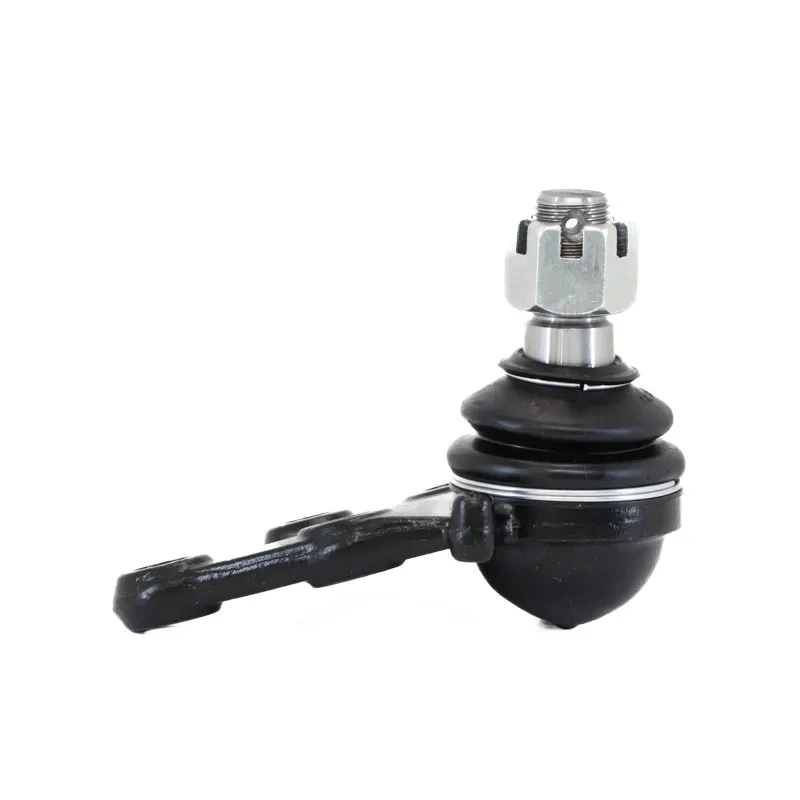 Rotula Inf Canyon 4x2 0415