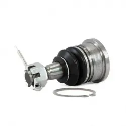 Rotula Inf 0106 Altima 9301