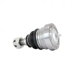 Rotula Inf Mustang 9495