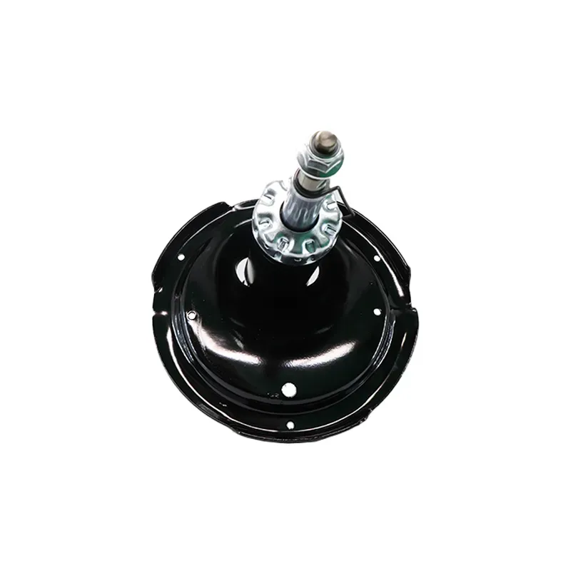 Amort Del Izq H100 0613