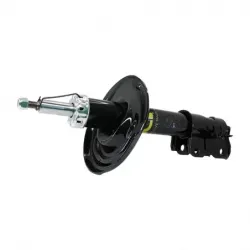 Amort Del Der Safrane 1215