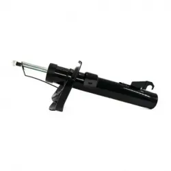 Amort Del Izq C30 0811 Focus 0711