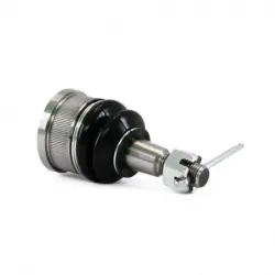 Rotula Inf Odyssey 9904