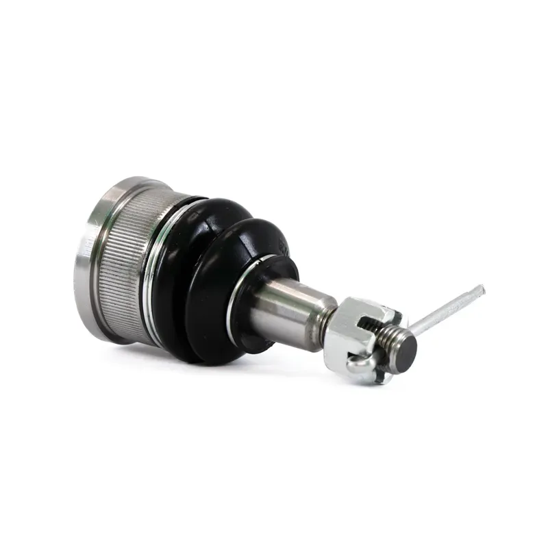 Rotula Inf Odyssey 9904