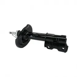 Amort Del Izq Safrane 1215