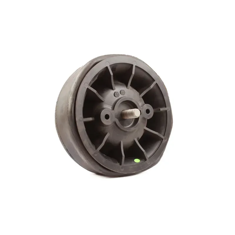 Bolsa de aire p susp Hendrickson