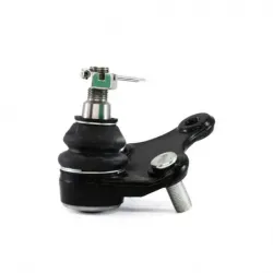 Rotula Inf Rav 4 0618