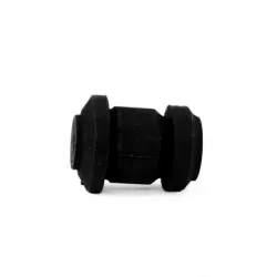 Bujes Inf Del Focus 0006