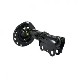 Amort Del Der Sienna 0610