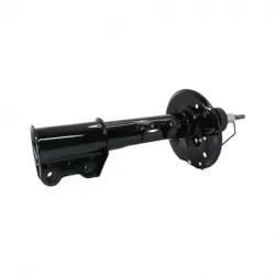 Amort DI Neon nvo diseño CTope 1618