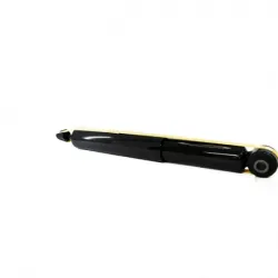 Amort Tras Montero Limited 0104 0813