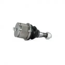 Rotula Inf Aspen Pick Up 0409 Durango